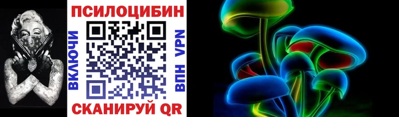 ссылка на мегу ССЫЛКА  Георгиевск  Псилоцибиновые грибы Magic Shrooms  даркнет сайт 